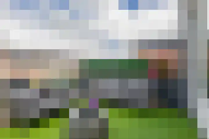 Oostdijk 19 Sommelsdijk thumbnail 49