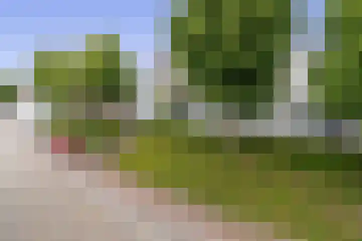 Oostdijk 19 Sommelsdijk thumbnail 5