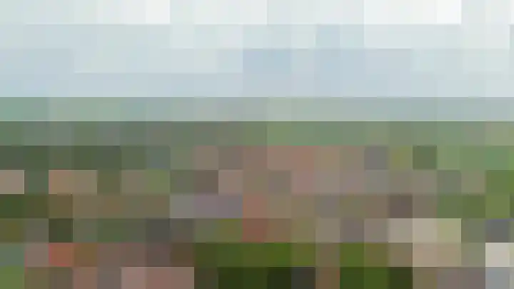 Oostdijk 19 Sommelsdijk thumbnail 52