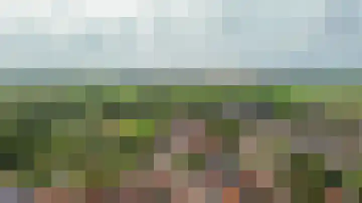 Oostdijk 19 Sommelsdijk thumbnail 53