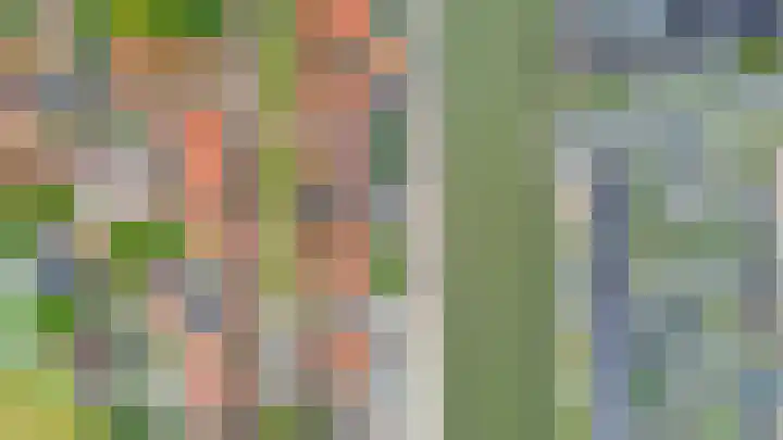 Oostdijk 19 Sommelsdijk thumbnail 56