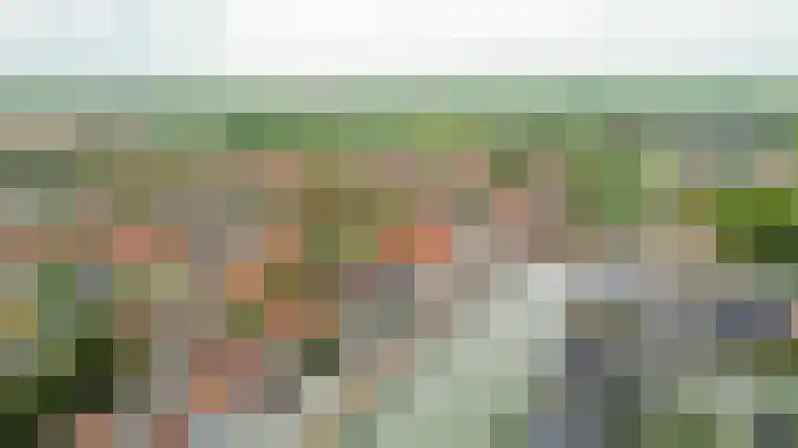 Oostdijk 19 Sommelsdijk thumbnail 57