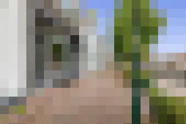 Oostdijk 19 Sommelsdijk thumbnail 6