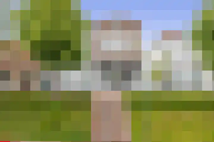 Oostdijk 19 Sommelsdijk thumbnail 62