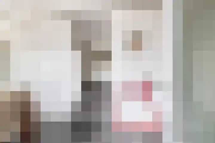 Oostdijk 19 Sommelsdijk thumbnail 8