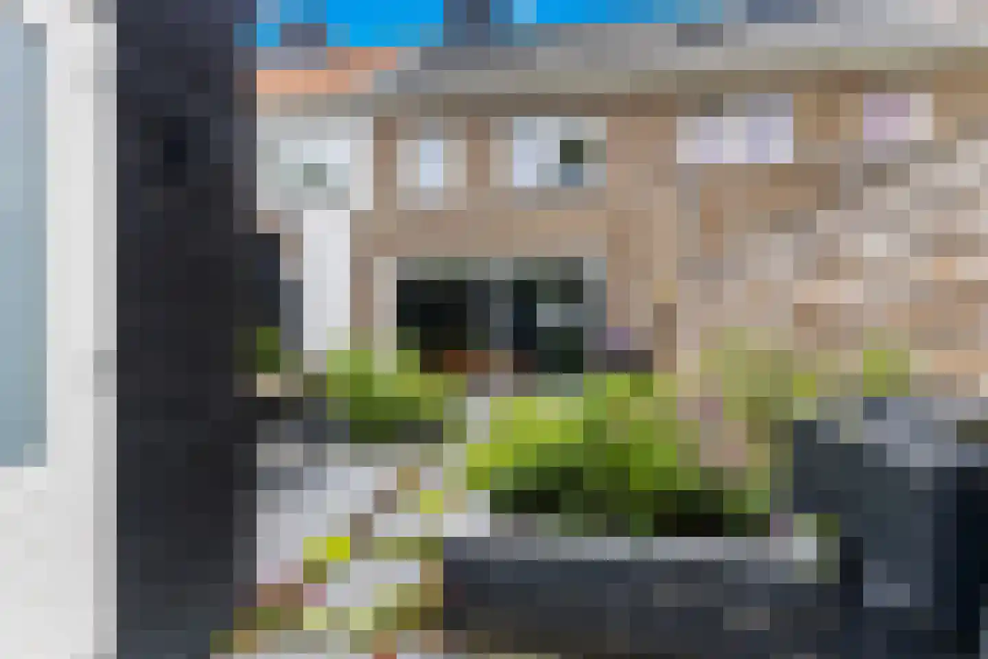 Oostdijk 195 Oud-Beijerland thumbnail 34