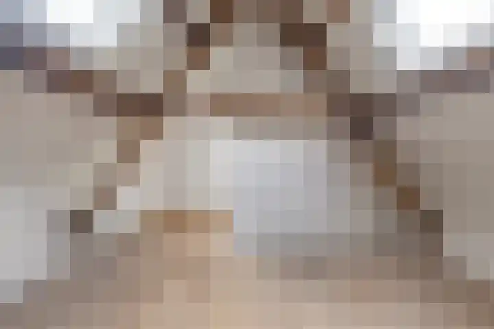 Oostdijk 2 Sommelsdijk thumbnail 15