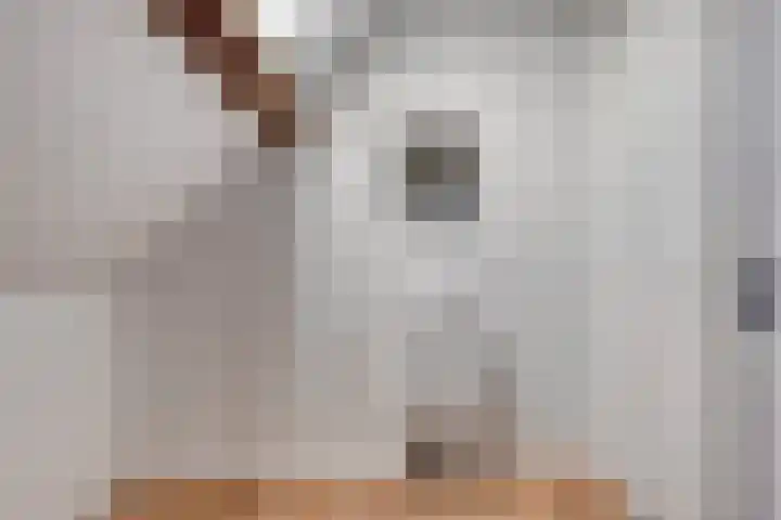 Oostdijk 2 Sommelsdijk thumbnail 16