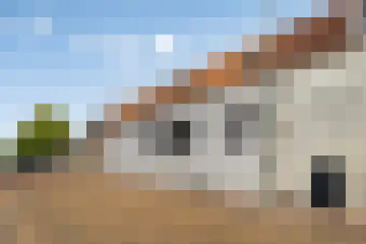 Oostdijk 2 Sommelsdijk thumbnail 20