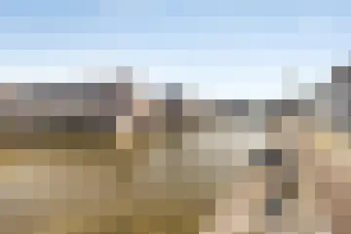 Oostdijk 2 Sommelsdijk thumbnail 25