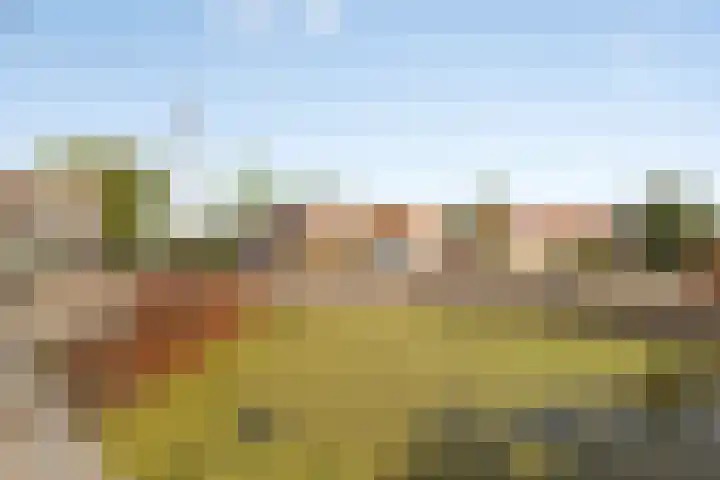 Oostdijk 2 Sommelsdijk thumbnail 26