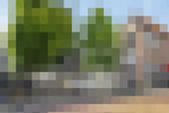 Oostdijk 2 Sommelsdijk thumbnail 27