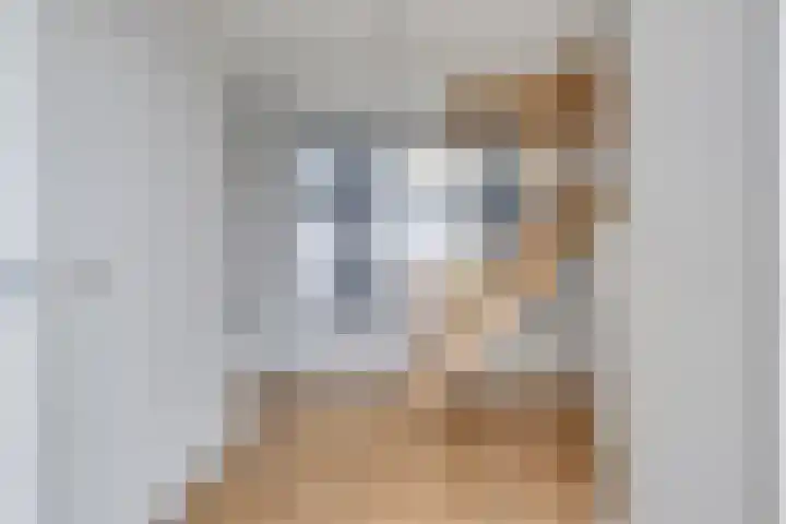 Oostdijk 2 Sommelsdijk thumbnail 9