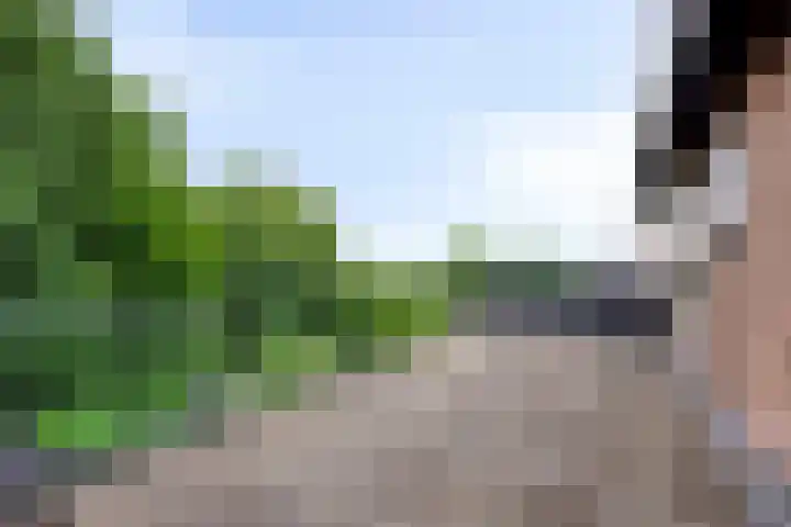 Oostdijk 209 Oud-Beijerland thumbnail 19