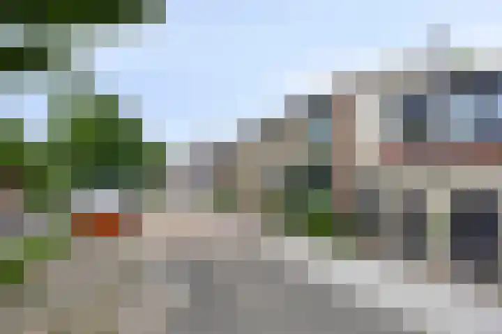 Oostdijk 209 Oud-Beijerland thumbnail 22