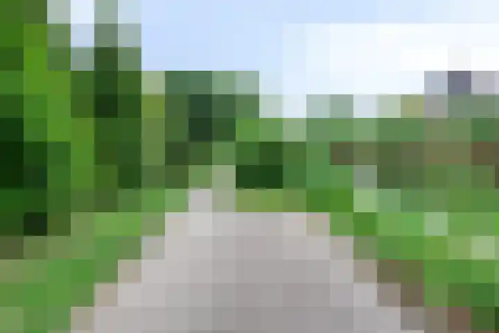 Oostdijk 209 Oud-Beijerland thumbnail 24