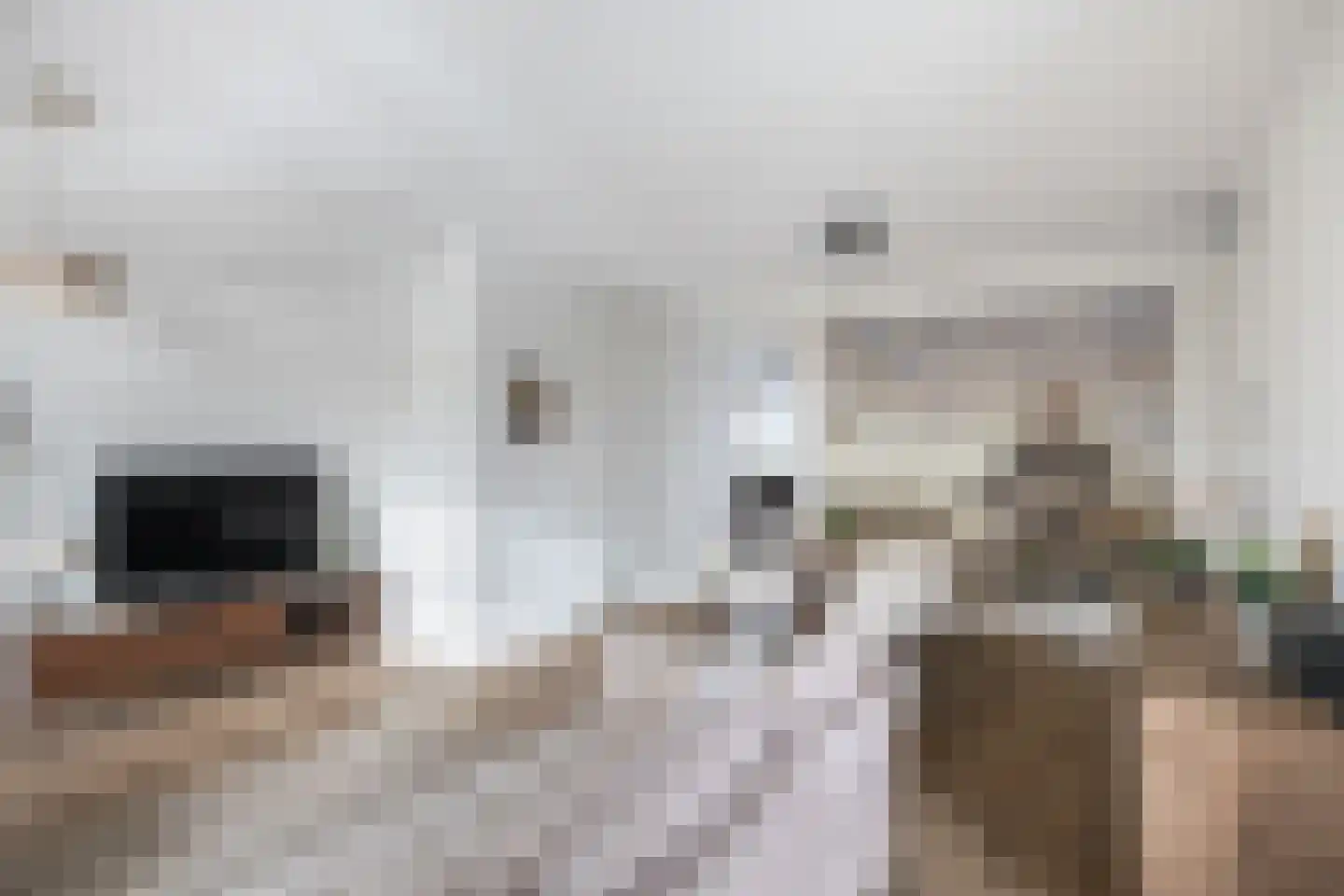 Oostdijk 23 Oude-Tonge thumbnail 15