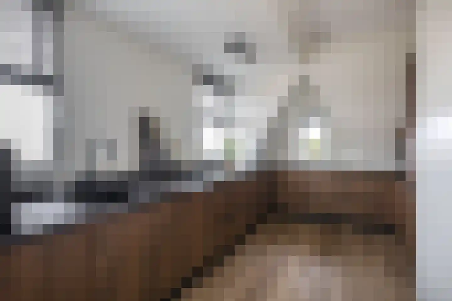 Oostdijk 23 Oude-Tonge thumbnail 18