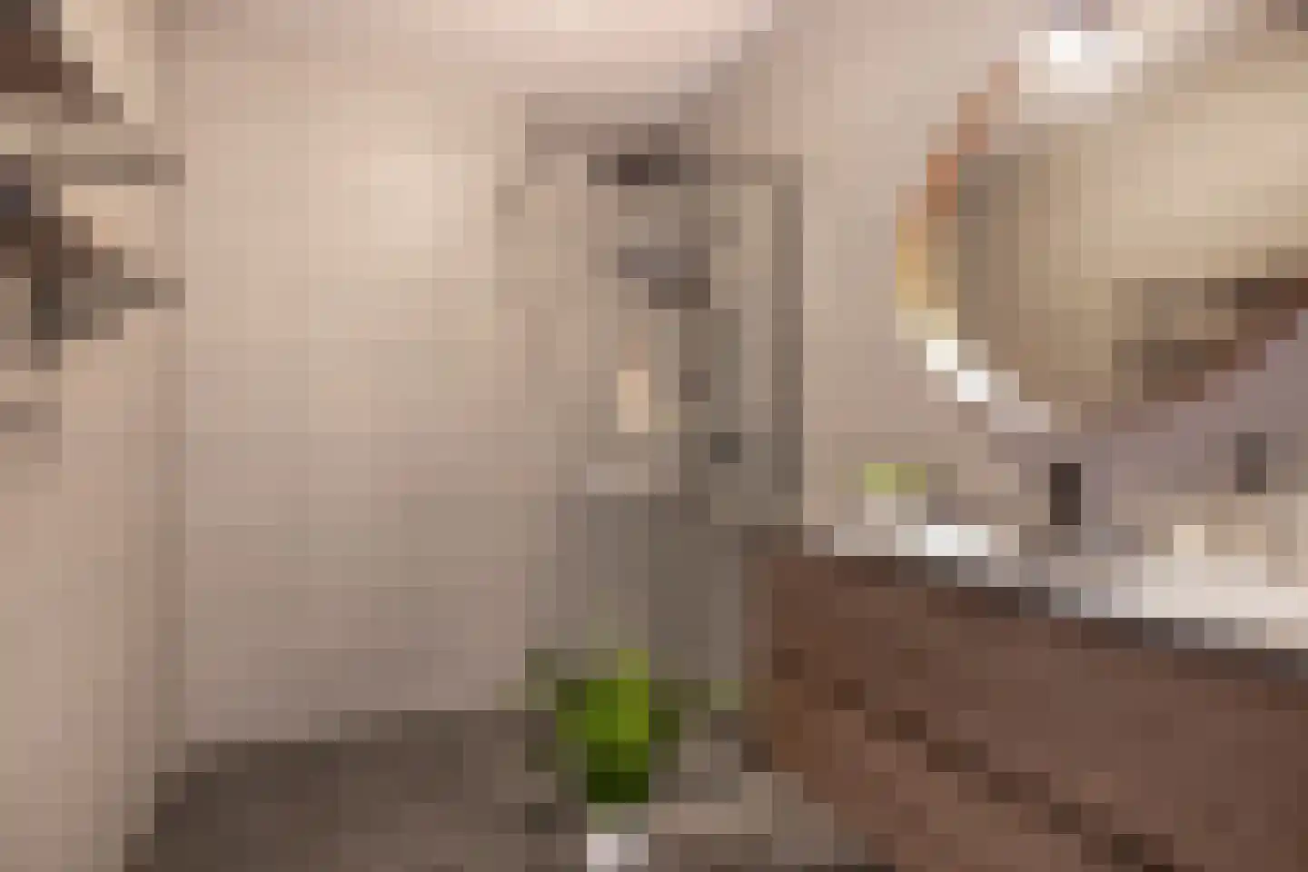Oostdijk 23 Oude-Tonge thumbnail 24