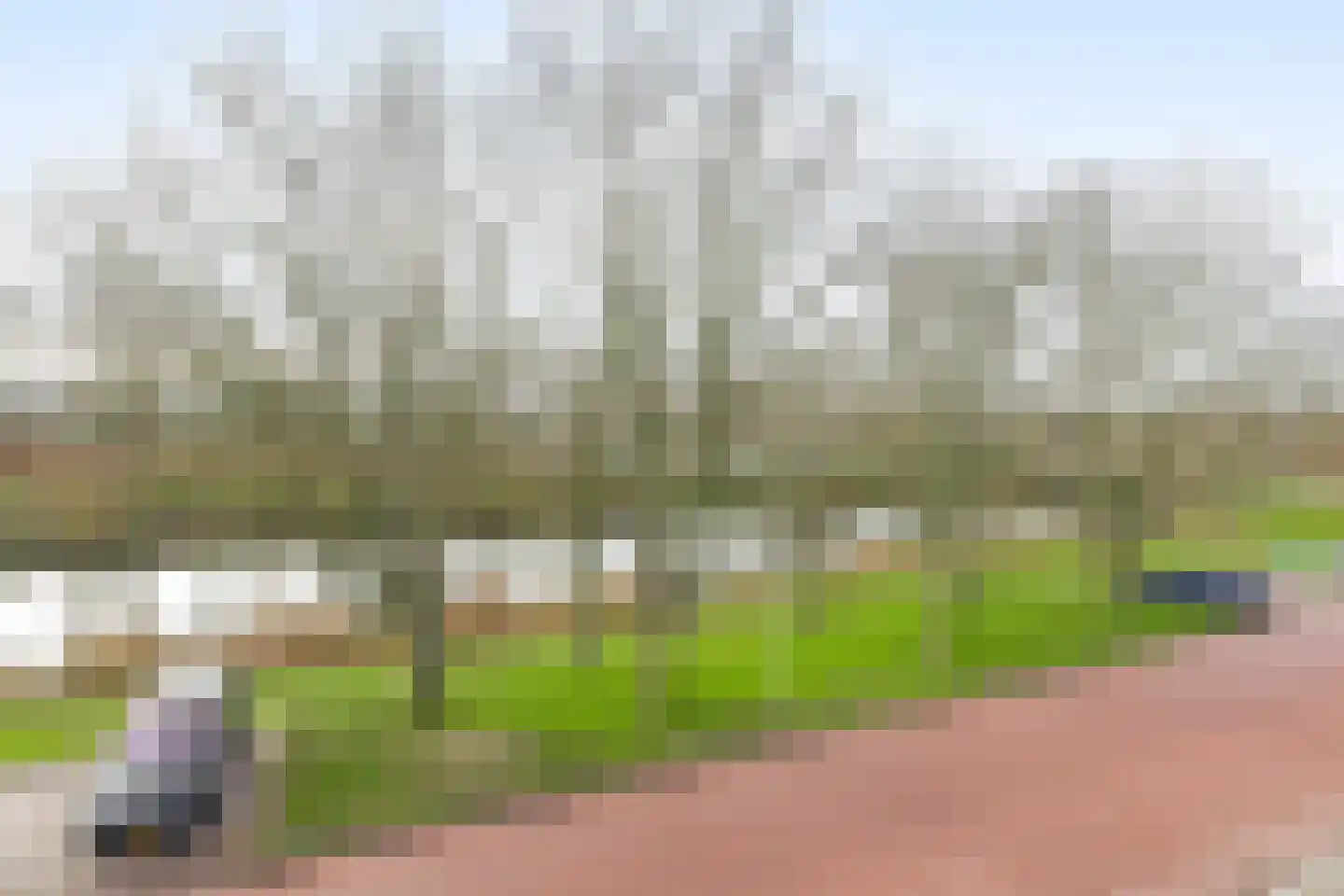 Oostdijk 23 Oude-Tonge thumbnail 30