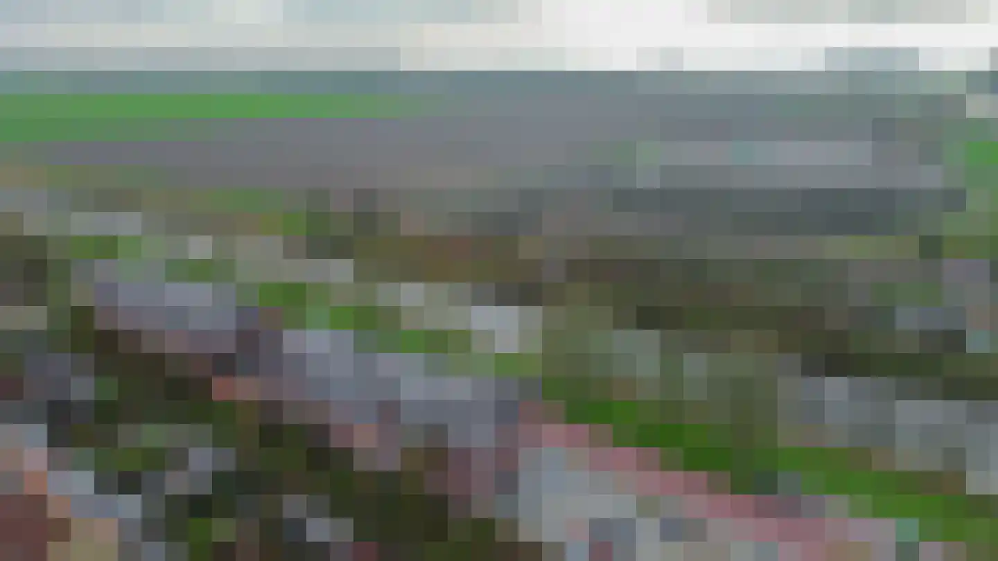 Oostdijk 23 Oude-Tonge thumbnail 33