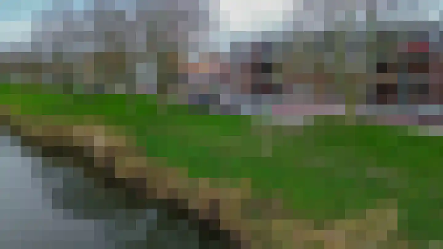 Oostdijk 23 Oude-Tonge thumbnail 35