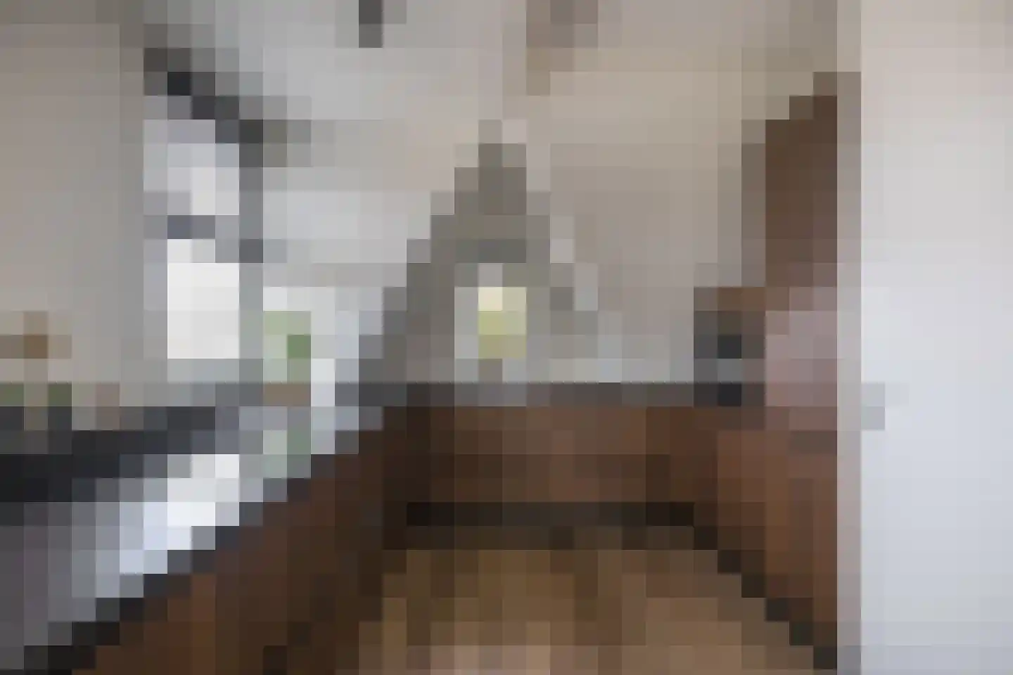 Oostdijk 23 Oude-Tonge thumbnail 4