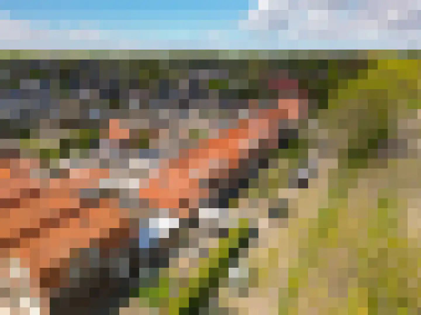 Oostdijk 23 Sint Philipsland thumbnail 32