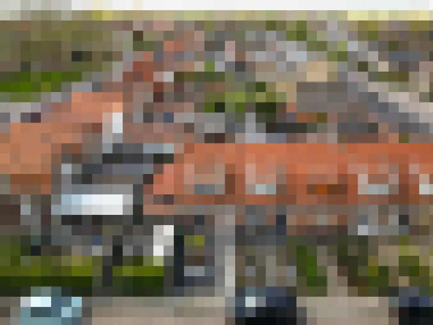 Oostdijk 23 Sint Philipsland thumbnail 33