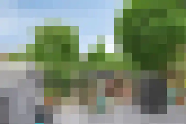 Oostdijk 245 Oud-Beijerland thumbnail 11