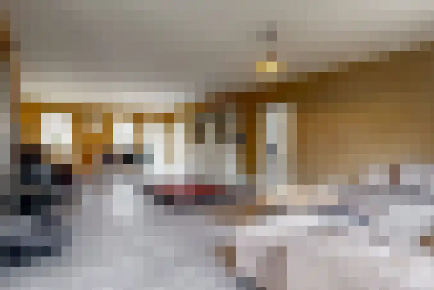 Oostdijk 25 Zuidoostbeemster thumbnail 13