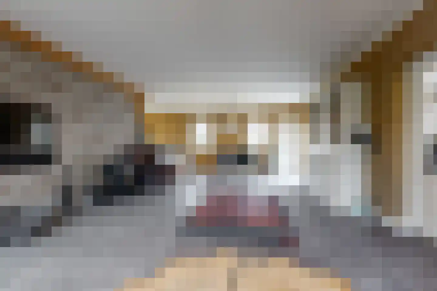 Oostdijk 25 Zuidoostbeemster thumbnail 14