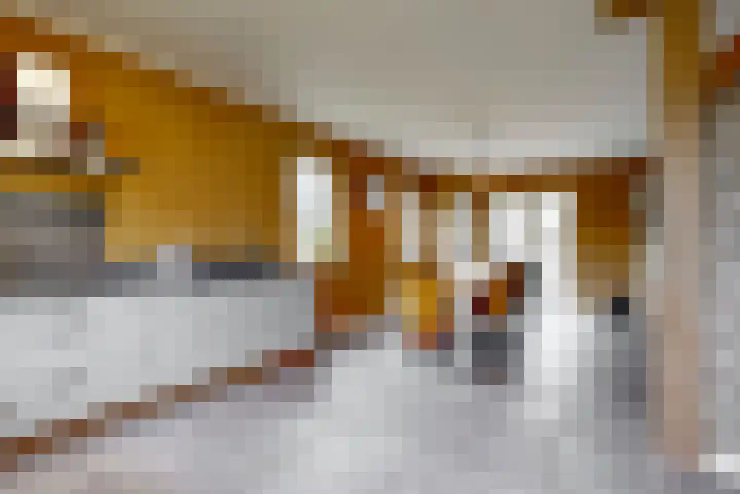 Oostdijk 25 Zuidoostbeemster thumbnail 19