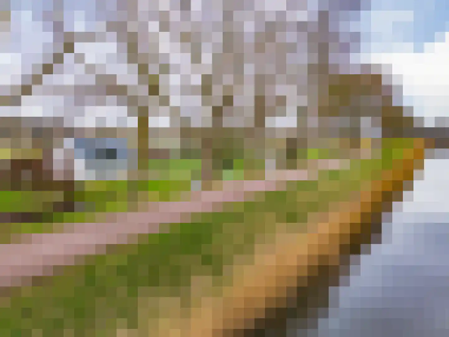 Oostdijk 25 Zuidoostbeemster foto 3