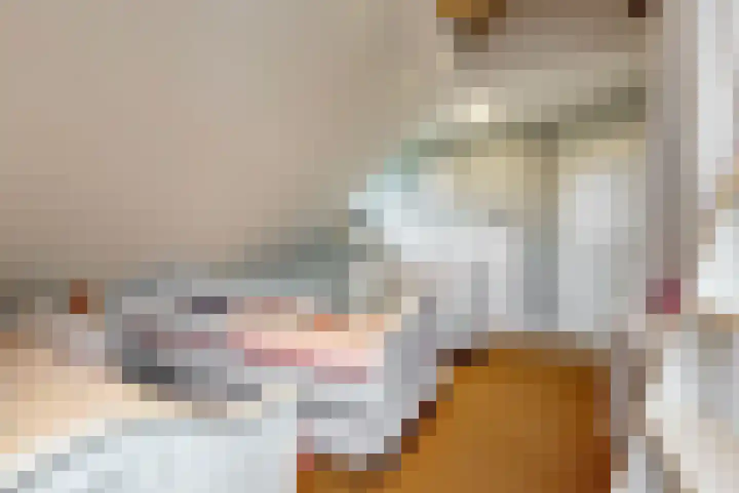 Oostdijk 25 Zuidoostbeemster thumbnail 31
