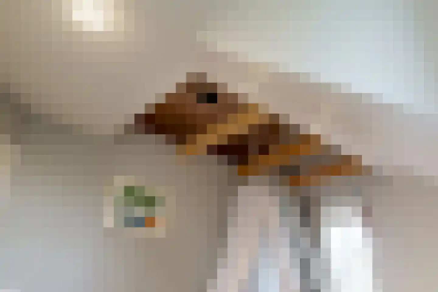 Oostdijk 25 Zuidoostbeemster thumbnail 32
