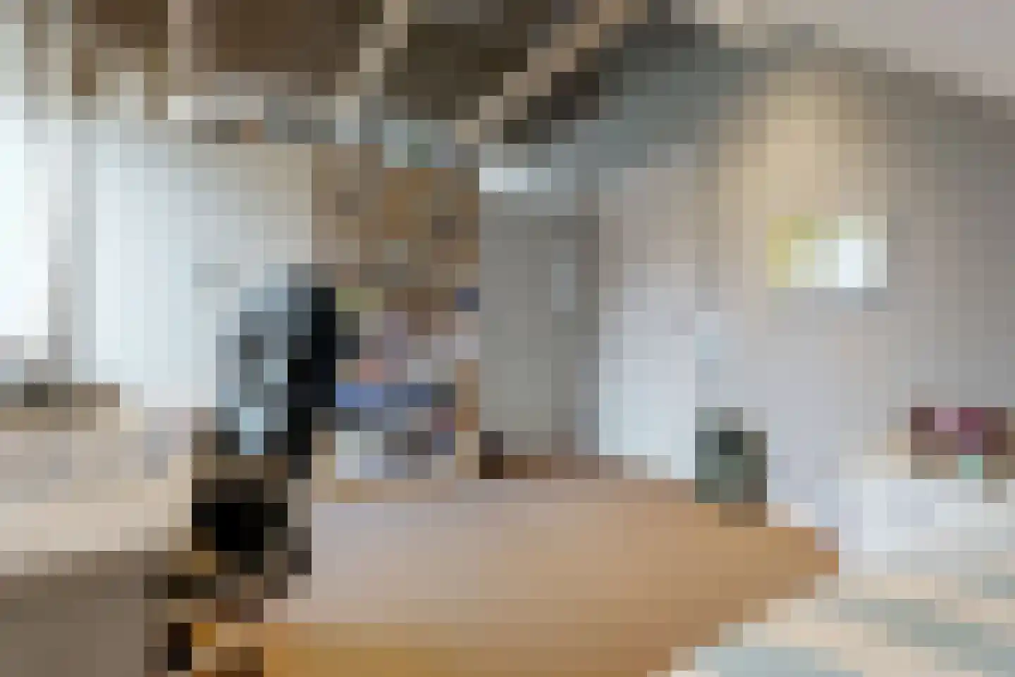 Oostdijk 25 Zuidoostbeemster thumbnail 34