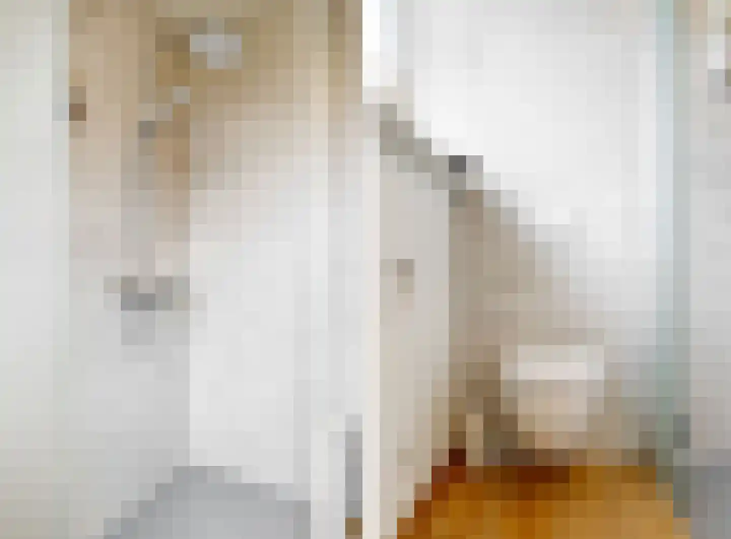 Oostdijk 25 Zuidoostbeemster thumbnail 39