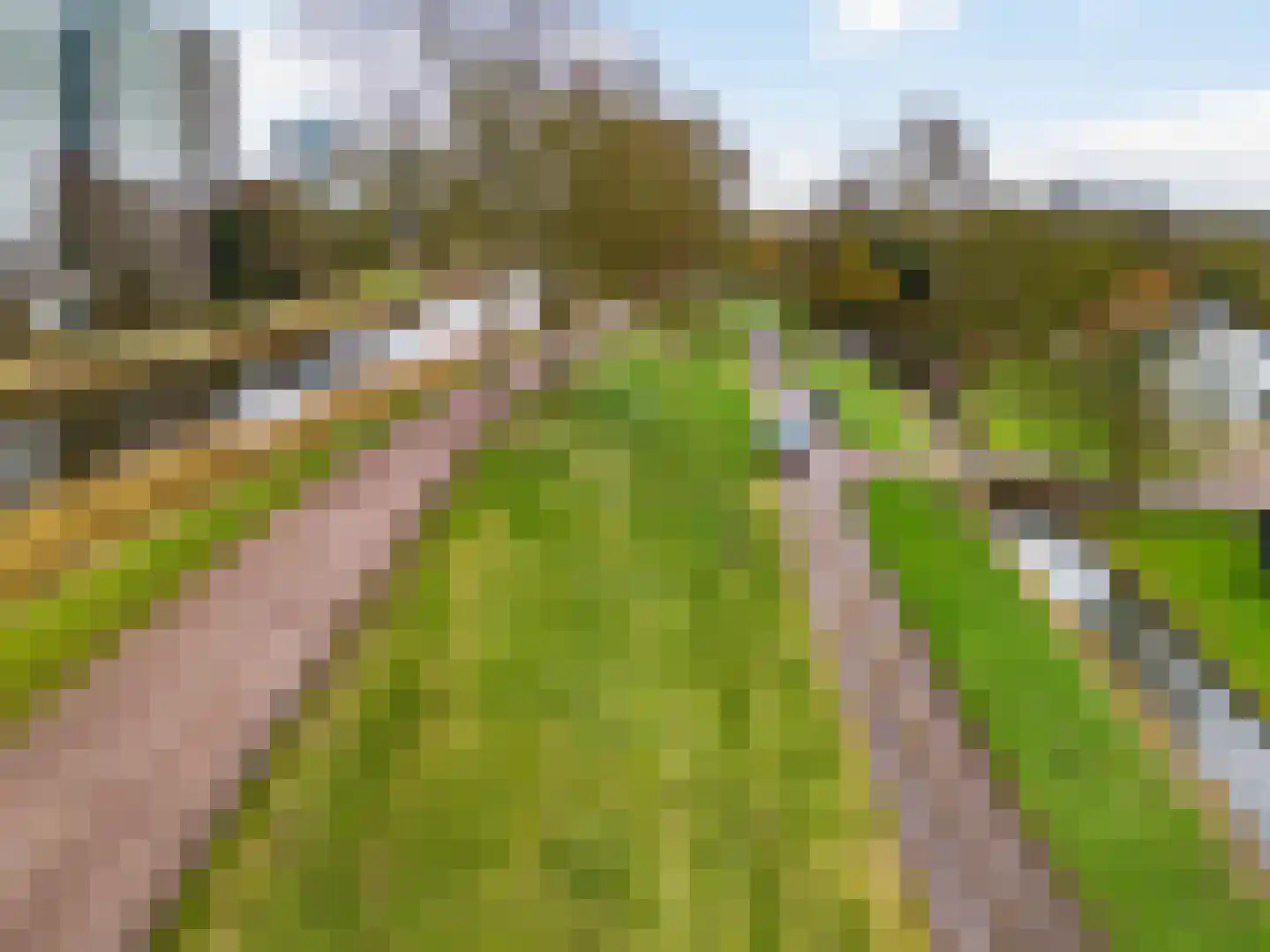 Oostdijk 25 Zuidoostbeemster thumbnail 51