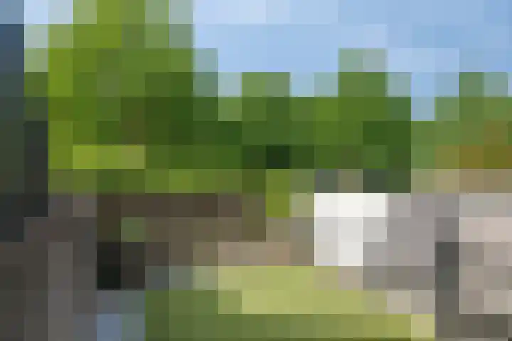 Oostdijk 275 E Oud-Beijerland thumbnail 26