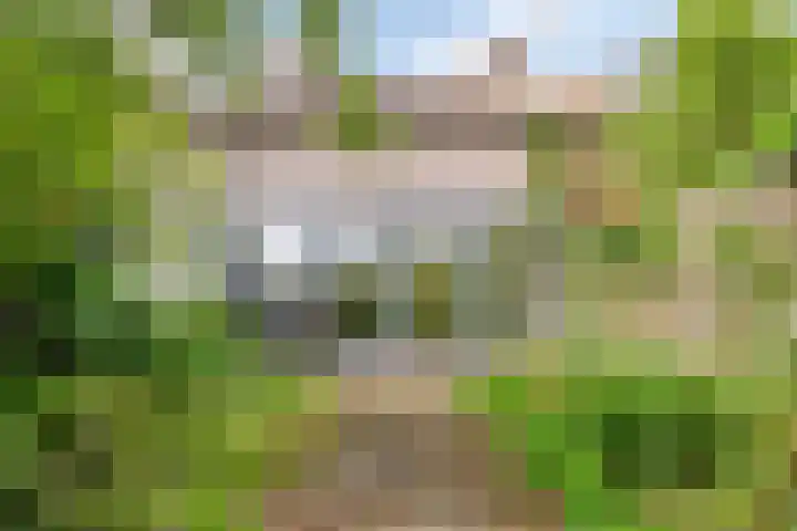 Oostdijk 275 E Oud-Beijerland thumbnail 33