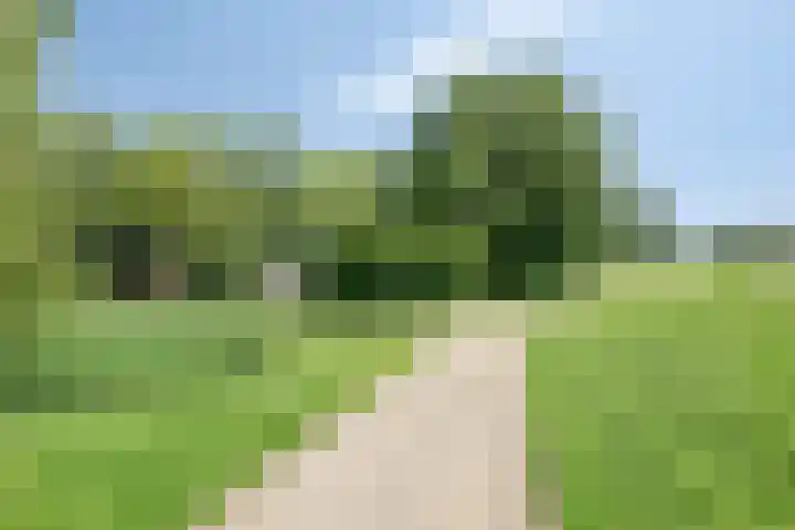 Oostdijk 275 E Oud-Beijerland thumbnail 37