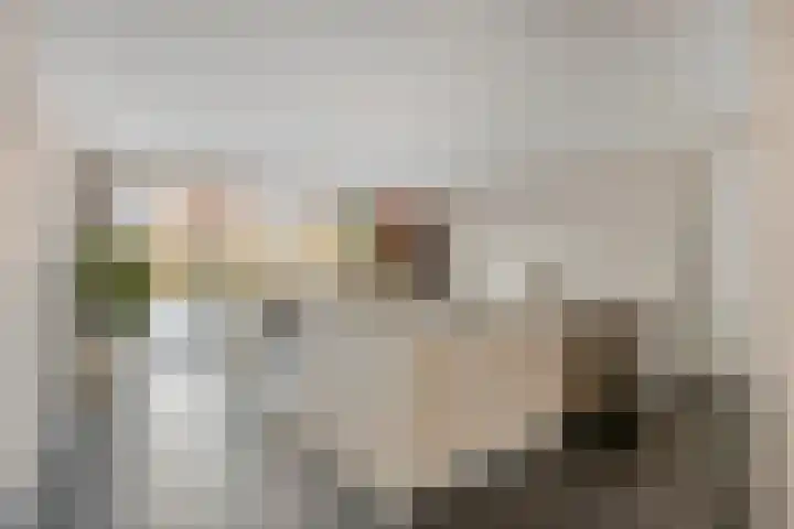 Oostdijk 29 D Heerhugowaard thumbnail 18