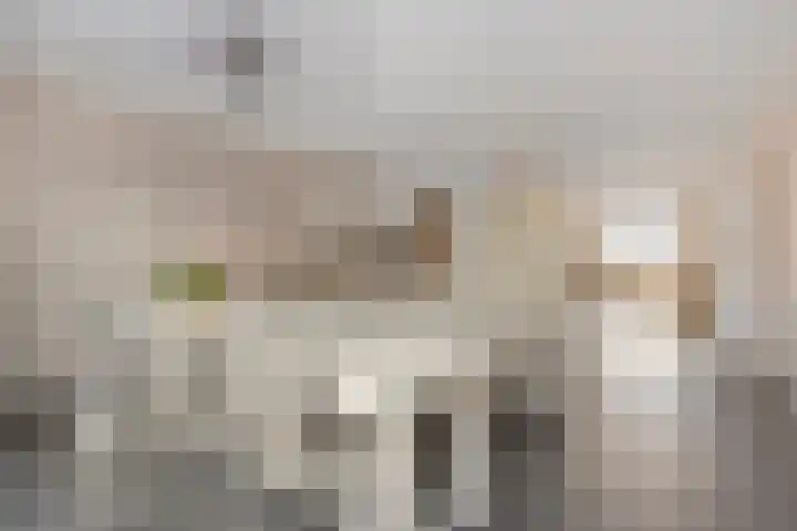 Oostdijk 29 D Heerhugowaard thumbnail 20