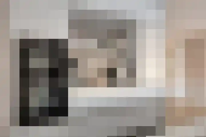 Oostdijk 29 D Heerhugowaard thumbnail 22