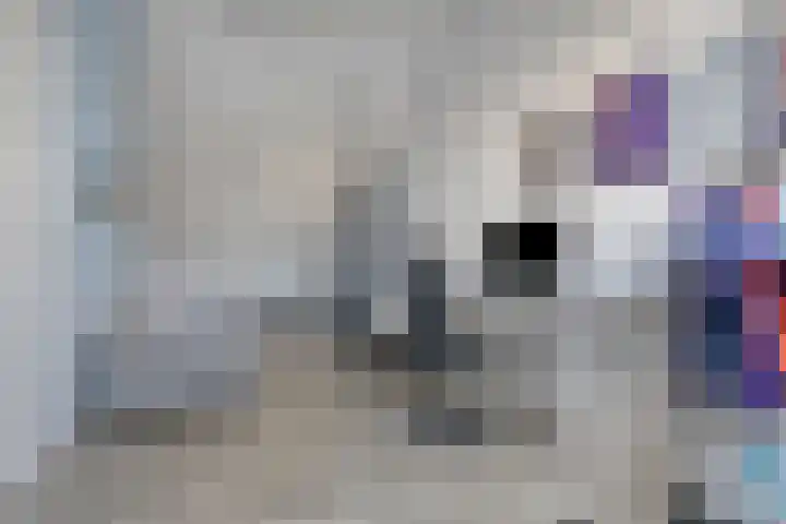 Oostdijk 29 D Heerhugowaard thumbnail 34