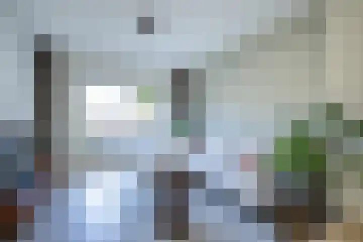 Oostdijk 31 Sommelsdijk thumbnail 10