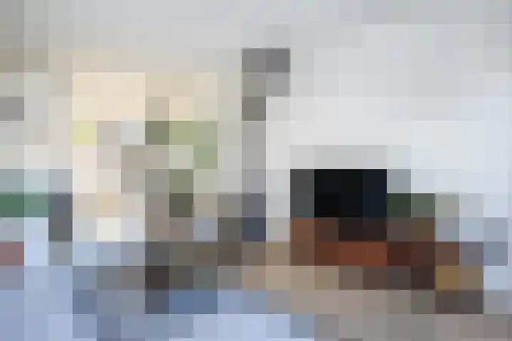 Oostdijk 31 Sommelsdijk thumbnail 11