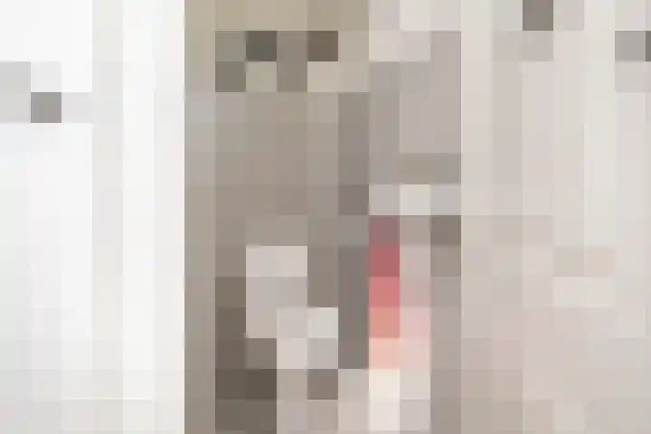 Oostdijk 31 Sommelsdijk thumbnail 16