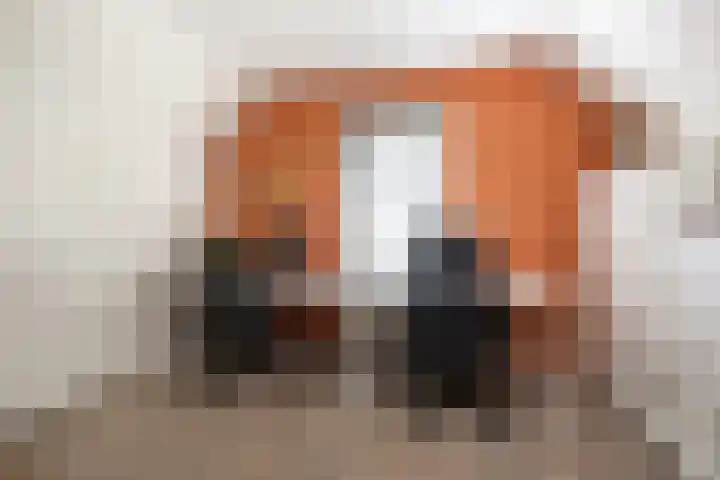 Oostdijk 31 Sommelsdijk thumbnail 20